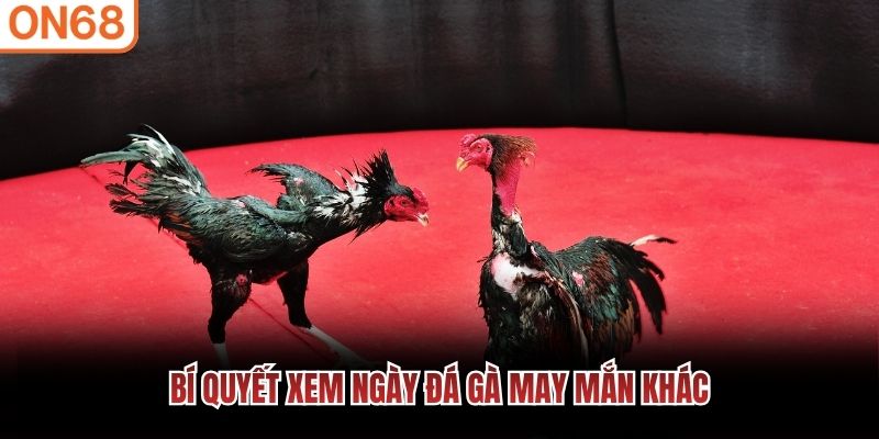 Bí quyết xem ngày đá gà may mắn khác