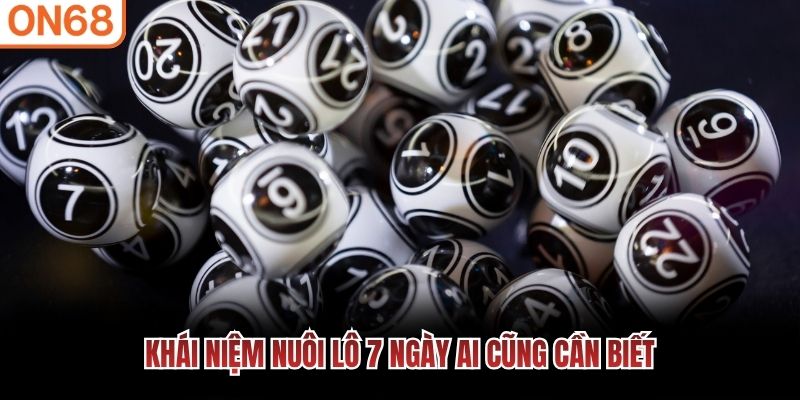 Kh&aacute;i niệm nu&ocirc;i l&ocirc; 7 ng&agrave;y ai cũng cần biết&nbsp;